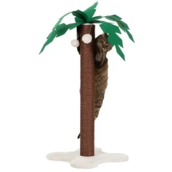 Coco Palm Kradsestamme