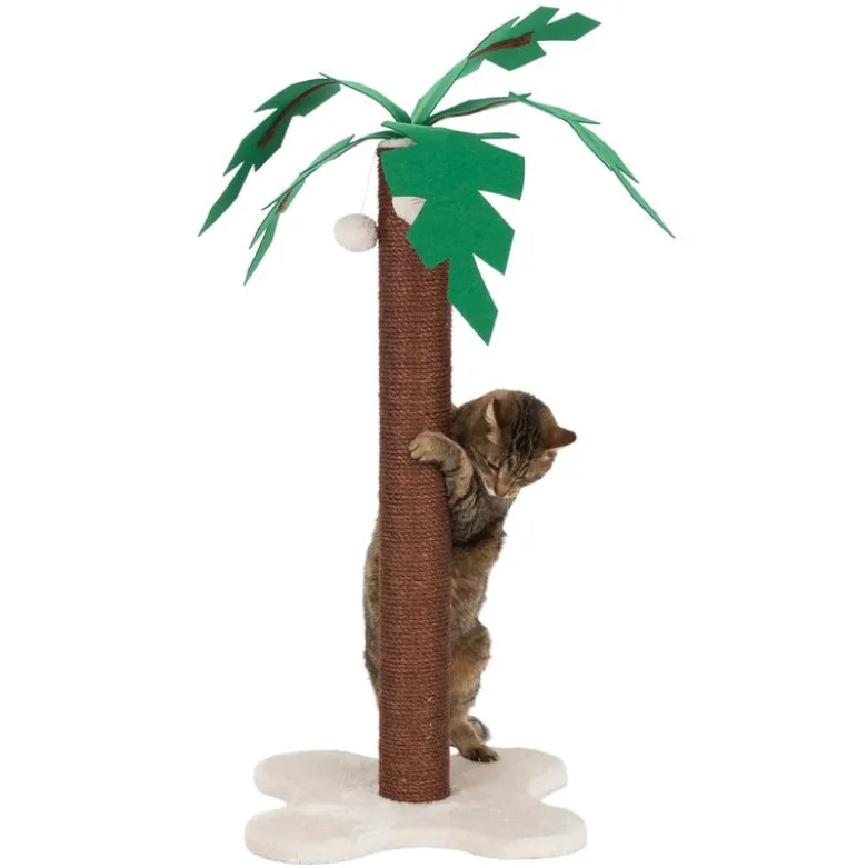 Coco Palm Kradsestamme