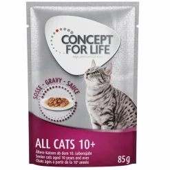 Concept for Life All Cats 10+ - i sauce