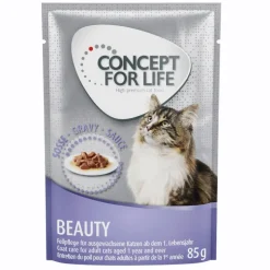 Concept for Life Beauty - i sauce