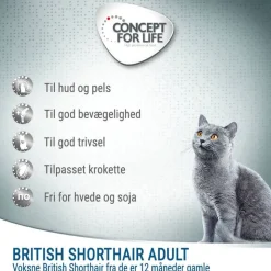 Concept for Life British Shorthair Adult - FORBEDRET OPSKRIFT!