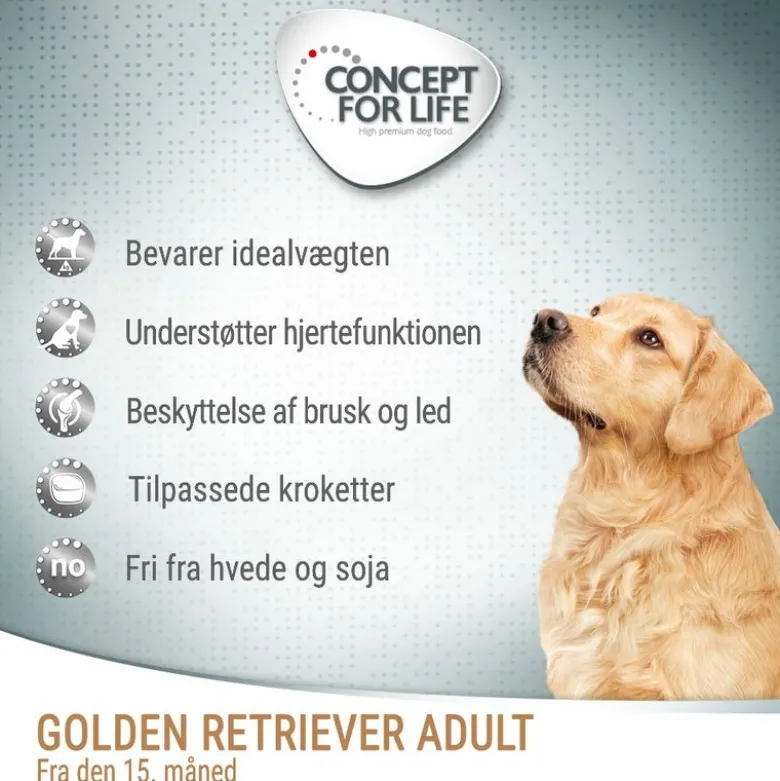 Concept for Life Golden Retriever Adult