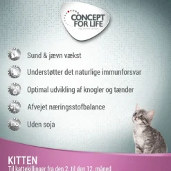 Concept for Life Kitten - i gelé