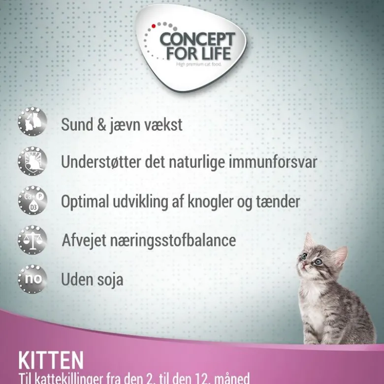 Concept for Life Kitten - i sauce