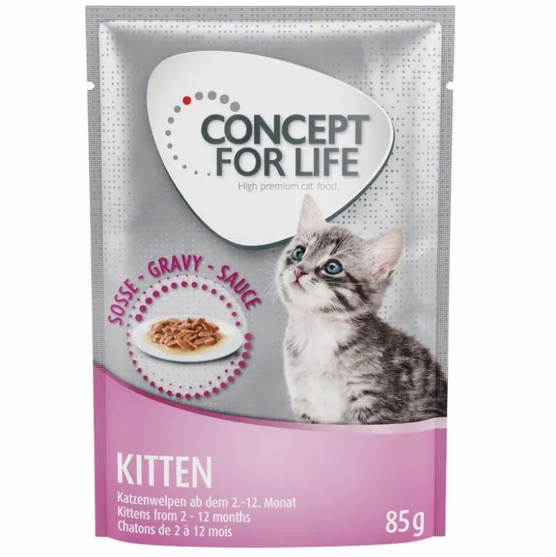Concept for Life Kitten - i sauce