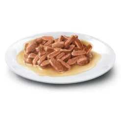 Concept for Life Kitten - i sauce