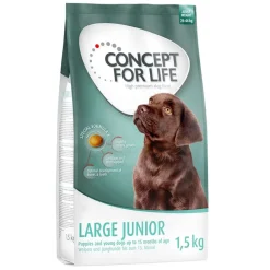 Concept for Life Large Junior