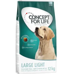 Concept for Life Large Light
