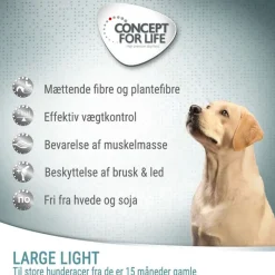 Concept for Life Large Light