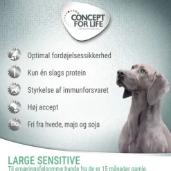 Concept for Life Large Sensitive