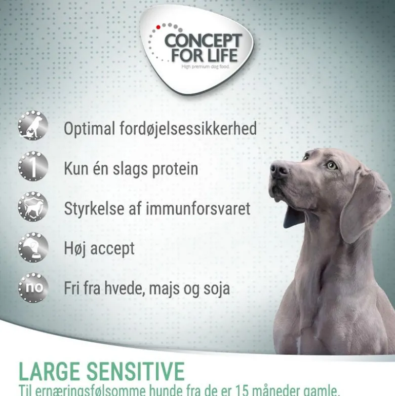 Concept for Life Large Sensitive