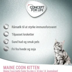 Concept for Life Maine Coon Kitten - Forbedret opskrift!