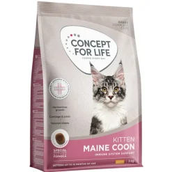 Concept for Life Maine Coon Kitten - Forbedret opskrift!