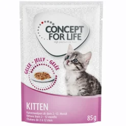 Concept for Life Maine Coon Kitten - Forbedret opskrift!