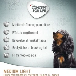 Concept for Life Medium Light