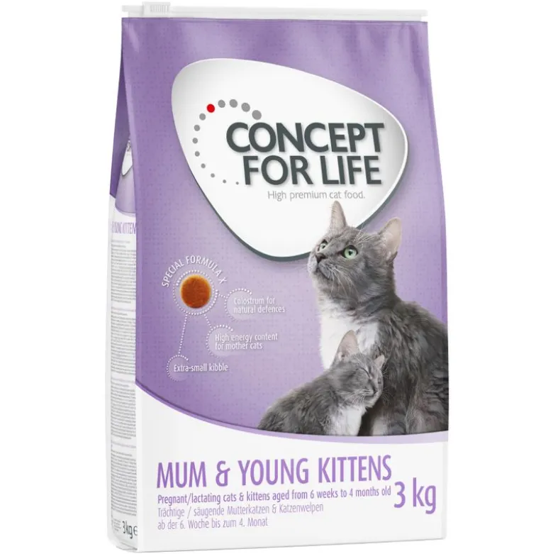 Concept for Life Mum & Young Kittens - FORBEDRET OPSKRIFT!