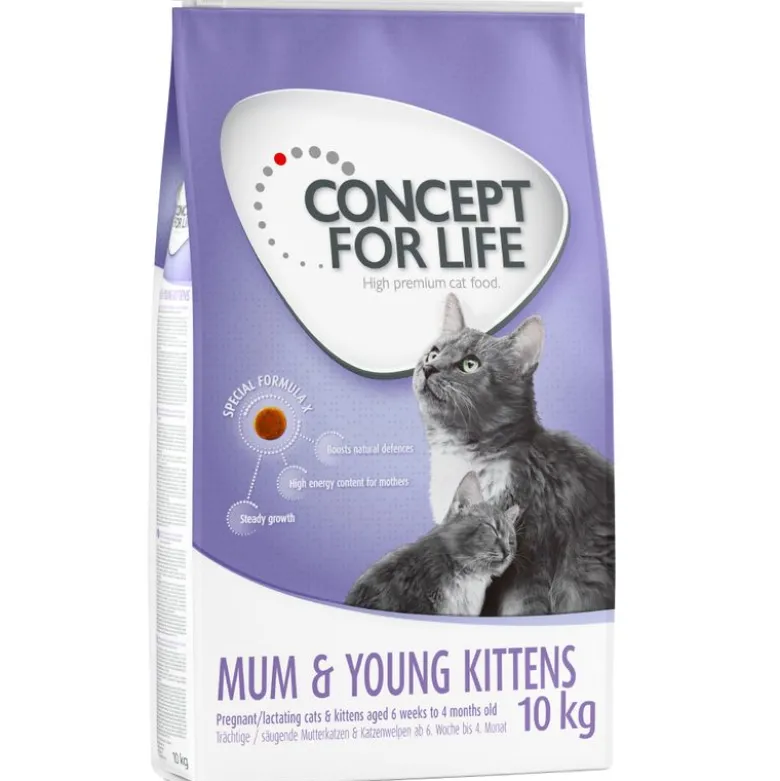Concept for Life Mum & Young Kittens - FORBEDRET OPSKRIFT!