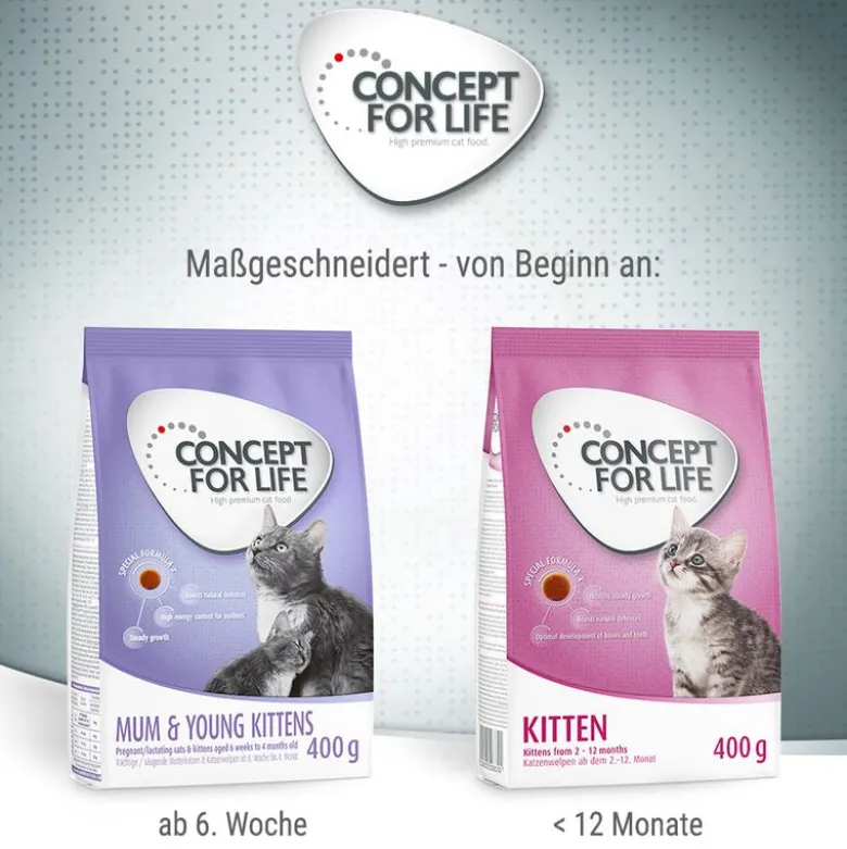 Concept for Life Mum & Young Kittens - FORBEDRET OPSKRIFT!