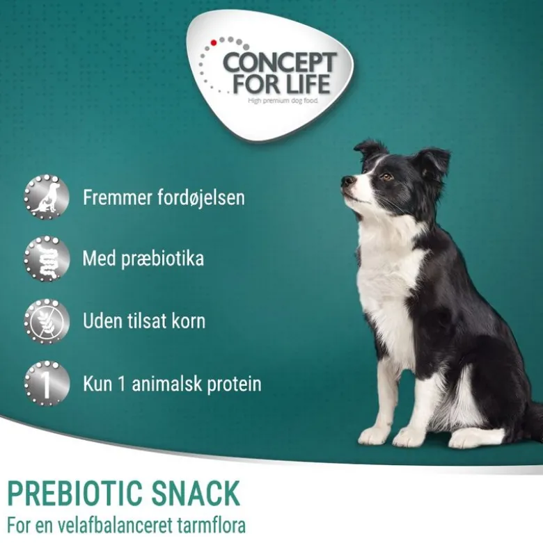 Concept for Life Prebiotic Snack med Kylling