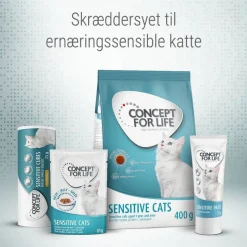 Concept for Life Sensitive Cubes