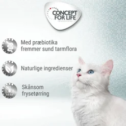 Concept for Life Sensitive Cubes