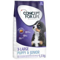 Concept for Life X-Large Junior