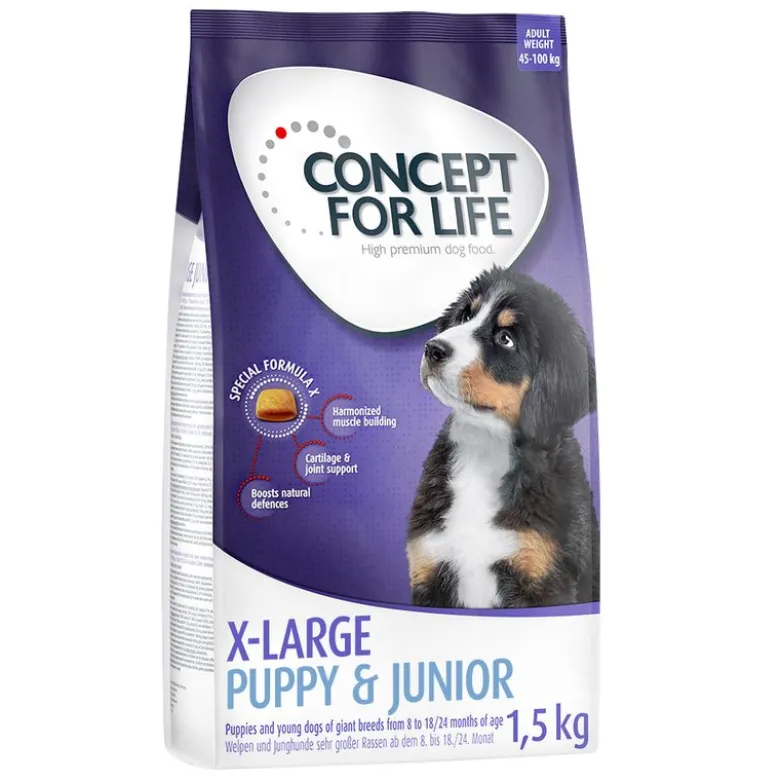 Concept for Life X-Large Junior