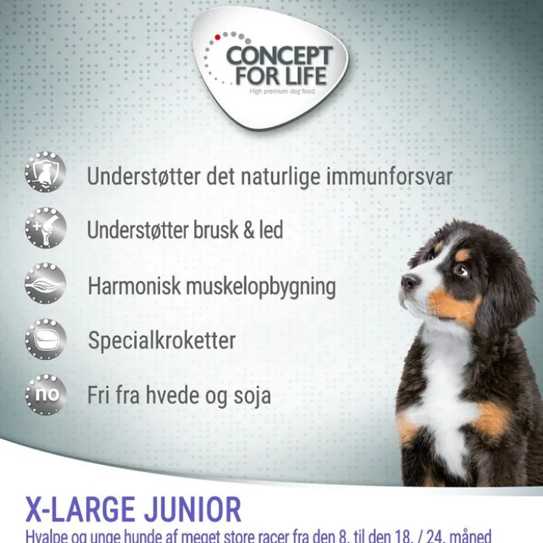 Concept for Life X-Large Junior