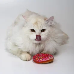 Croci Bakery Street Donut med kattemynte