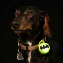 DC Batman halsbåndslys