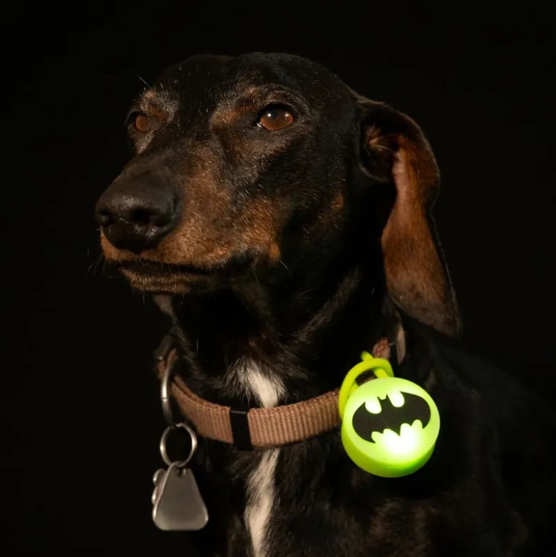 DC Batman halsbåndslys