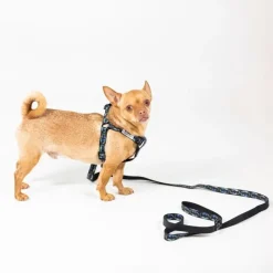 DC Batman hundesnor