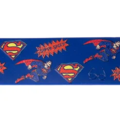 DC Superman halsbånd, blå
