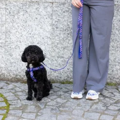 DC Superman hundesnor