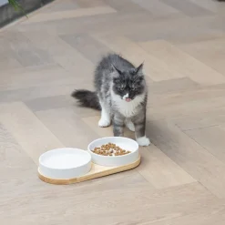 Designed by Lotte keramisk spisestel Lojs til katte