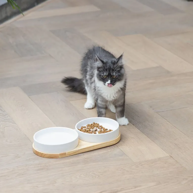 Designed by Lotte keramisk spisestel Lojs til katte