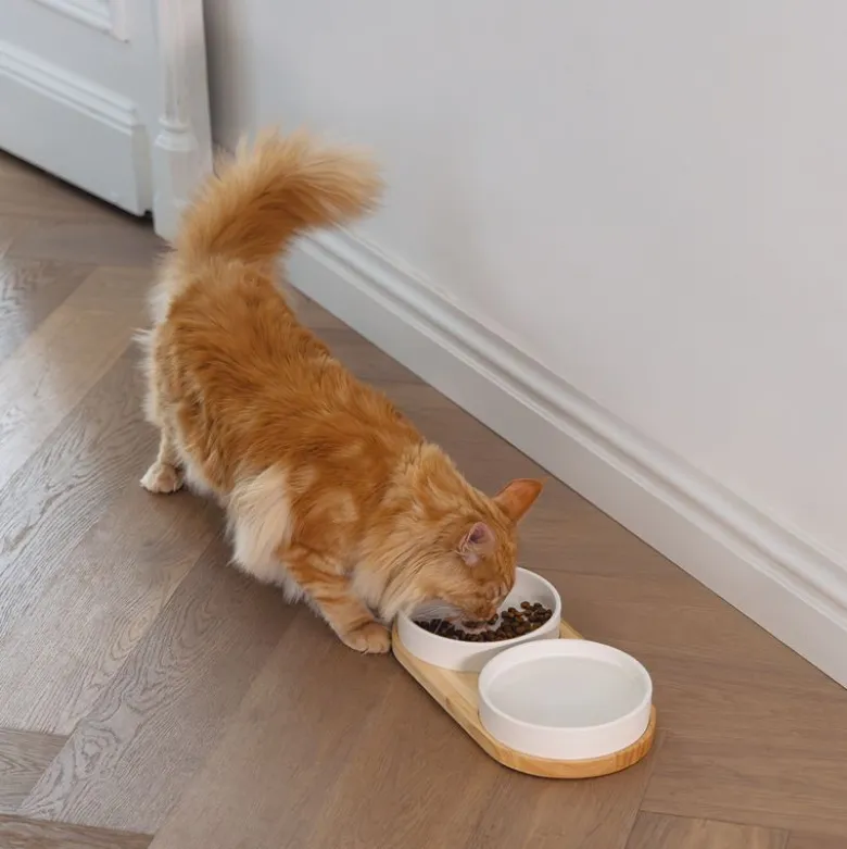 Designed by Lotte keramisk spisestel Lojs til katte