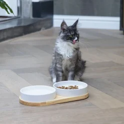 Designed by Lotte keramisk spisestel Lojs til katte