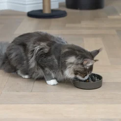 Designet af Lotte Anti-slange skål Pom til katte