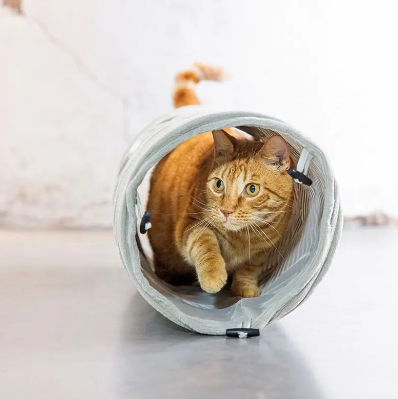 Designet af Lotte Cat Tunnel Ribbet