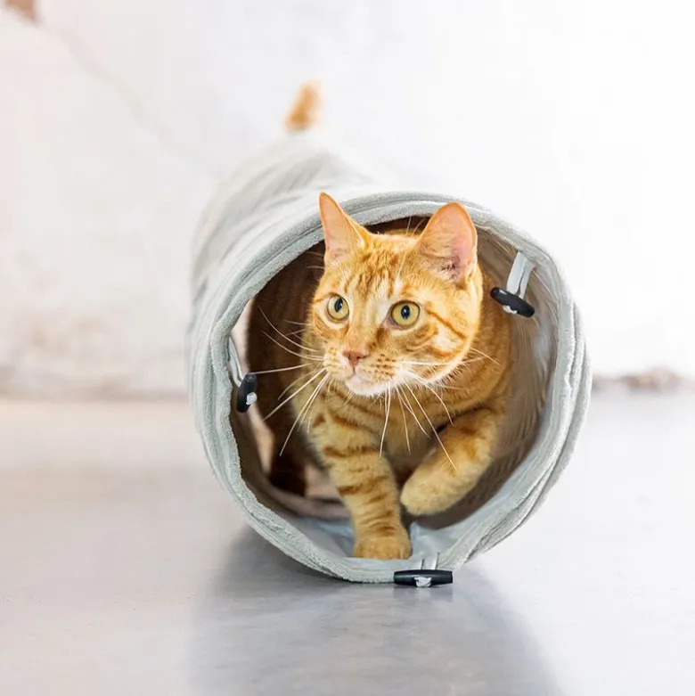 Designet af Lotte Cat Tunnel Ribbet