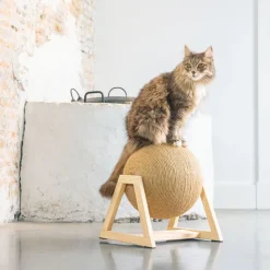 Designet af Lotte kradsebold med fod Xem