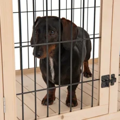 Dog Palace Hundebur