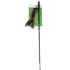 Drillepind Bird