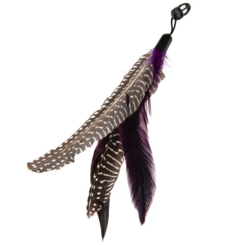 Drillepind Bird