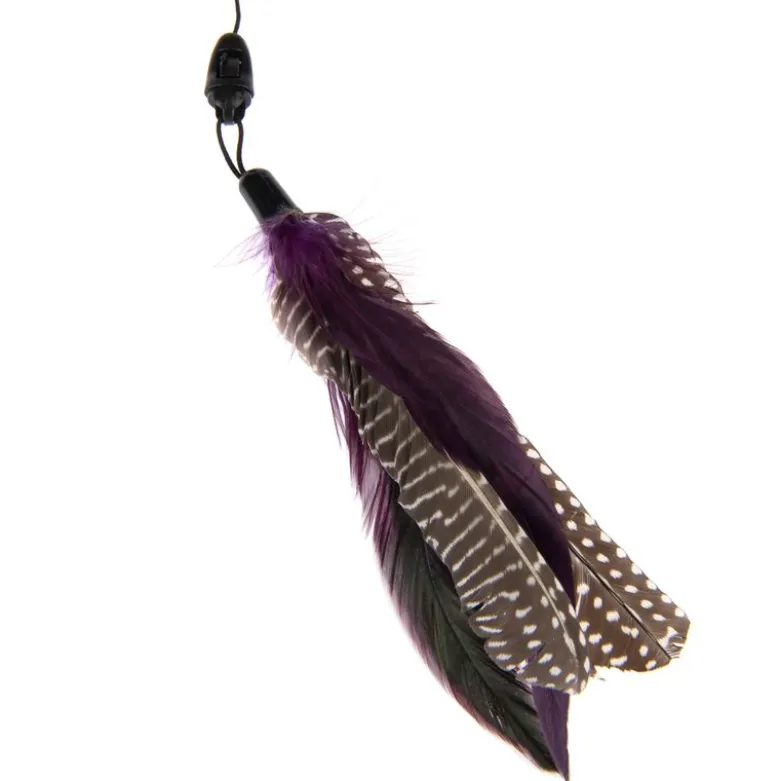 Drillepind Bird