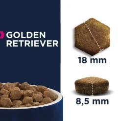 Eukanuba Adult Breed Specific Golden Retriever