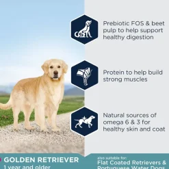 Eukanuba Adult Breed Specific Golden Retriever