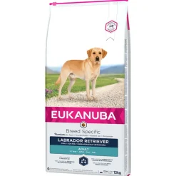 Eukanuba Adult Breed Specific Labrador Retriever