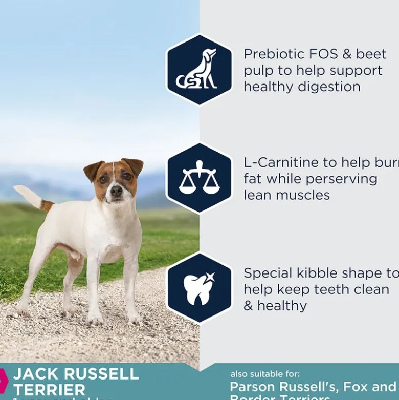 Eukanuba Adult Breed Specific Jack Russell Terrier